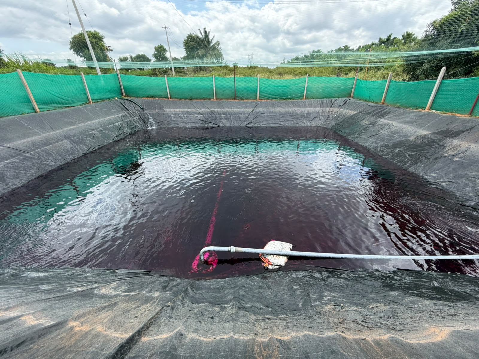 Fish pond